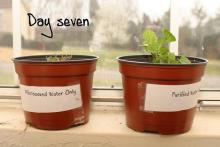 10 ПРИЧИН, ЧТОБЫ ВЫБРОСИТЬ МИКРОВОЛНОВКУ! 10 ПРИЧИН, ЧТОБЫ ВЫБРОСИТЬ МИКРОВОЛНОВКУ!