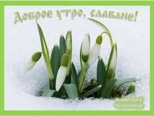 ✔3 ДАИЛѢТЪ. ТРИТЕИНИКЪ. МЕСѦЦЪ ПРОБУЖДЕНİѦ ПРИРОДЫ. ВЕЩİИ СЪНЪ ☀☀☀.