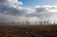 "Берите пакеты, они бесплатные!"