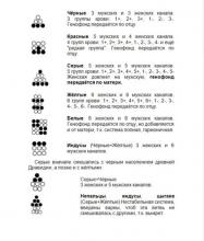 ✅ ЧТО ТАКОЕ ЭНЕРГОНОВАЯ ФОРМА ОСОЗНАНИЯ МИРА? Вѣдические знания определяют, что...