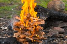 Что такое треба? Требою называется, в первую очередь – символическое подношение...