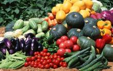 ✅ ДОМОРОЩЕННЫЕ СЕМЕНА. Как правильно самостоятельно выращивать и собирать... ✅ ДОМОРОЩЕННЫЕ СЕМЕНА. Как правильно самостоятельно выращивать и собирать...