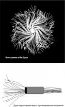 ✅ ДУША: ДУ-ША. "Воплощение Души в явный мир (Явь*) — это рождение ребёнка на... ✅ ДУША: ДУ-ША. "Воплощение Души в явный мир (Явь*) — это рождение ребёнка на...