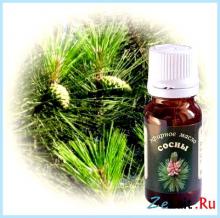 Эфирное масло сосны: свойства и применение соснового масла