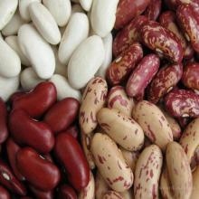 ЭКОЛОГИЧЕСКАЯ СТИРКА: АЛЬТЕРНАТИВНЫЕ СПОСОБЫ СТИРКИ БЕЗ СТИРАЛЬНОГО ПОРОШКА.