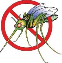 Как избавиться от зуда от укуса комаров? Полезные советы.
