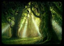 ✅ ЛЕСНЫЕ ДУХИ. Служебные духи природы, обитающие в наших лесах: Светобор...