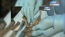 На территории Омской крепости нашли скелет древнего человека