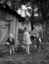 Негативные эмоции вызывают болезни. • Алкоголизм - чувство одиночества... Негативные эмоции вызывают болезни. • Алкоголизм - чувство одиночества...