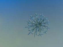 Невероятной красоты снежинки на фотографиях Алексея Клятова