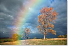 Предсказание погоды. Предсказание погоды.