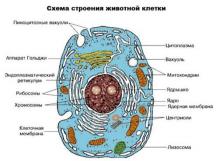 Прекрасный мир, который мы потеряли.