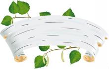 ???Природная сила бересты???. Береста – это верхний слой коры берёзы. Она...