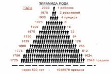 РОДОВОЕ СОЗНАНИЕ. Почему один муравей не знает , как строить муравейник ? И...