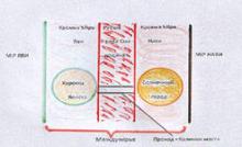 ✔ СЛАВѦНСКАЯ ОБРЯДНОСТЬ, СОПРОВОЖДАЮЩАЯ ПРОЦЕСС ПЕРЕХОДА ИЗЪ МİРА ЯВИ В СВѢТЛУЮ НАВЬ. ✔ СЛАВѦНСКАЯ ОБРЯДНОСТЬ, СОПРОВОЖДАЮЩАЯ ПРОЦЕСС ПЕРЕХОДА ИЗЪ МİРА ЯВИ В СВѢТЛУЮ НАВЬ.