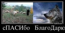 ✅ СПАСИБО ИЛИ БЛАГОДАРЮ? СКРЫТОЕ ЗНАЧЕНИЕ СЛОВ. Мы достаточно часто говорим...