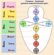 ТЕЛА – ОБОЛОЧКИ ЧЕЛОВЕКА