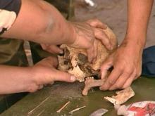 В ТУЛЬСКОЙ ОБЛАСТИ АРХЕОЛОГИ НАШЛИ ДРЕВНЕРУССКИЙ ГОРОД В ТУЛЬСКОЙ ОБЛАСТИ АРХЕОЛОГИ НАШЛИ ДРЕВНЕРУССКИЙ ГОРОД