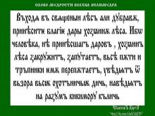 ✔ ВѢДЫ. Наши Прѣдки это знали. Хозяин леса это Леший. Поэтому что делали?