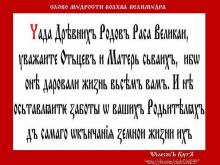 ✔ ВѢДЫ. Они обеспечивают вашу жизнь: кормят вас, одевают, обувают, а вы их...