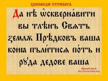 ✔ ВѢДЫ.