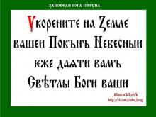 ✔ ВѢДЫ.