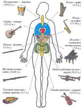 ВЛИЯНИЕ ТЕМПО-РИТМИЧЕСКОЙ СТРУКТУРЫ МУЗЫКИ НА ПСИХОФИЗИОЛОГИЧЕСКОЕ СОСТОЯНИЕ ЧЕЛОВЕКА