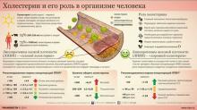 Все про холестерин: норма в крови, как снизить, советы и рекомендации